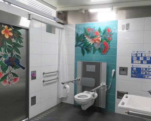 Changing Places   Mount Maunganui